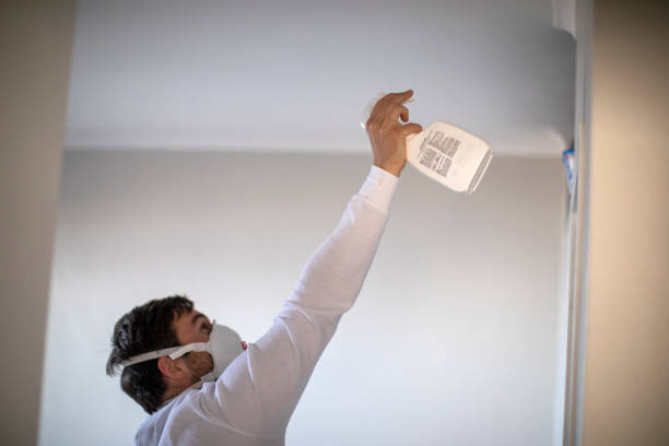 Best Mold Testing and Inspection Services in Leon Valley, TX