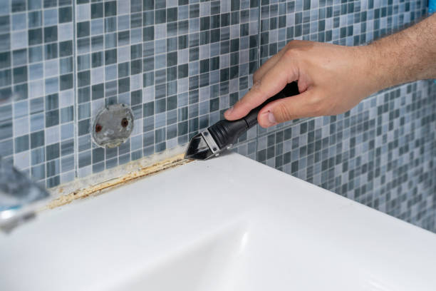 Best Health and Safety Mold Remediation in Leon Valley, TX